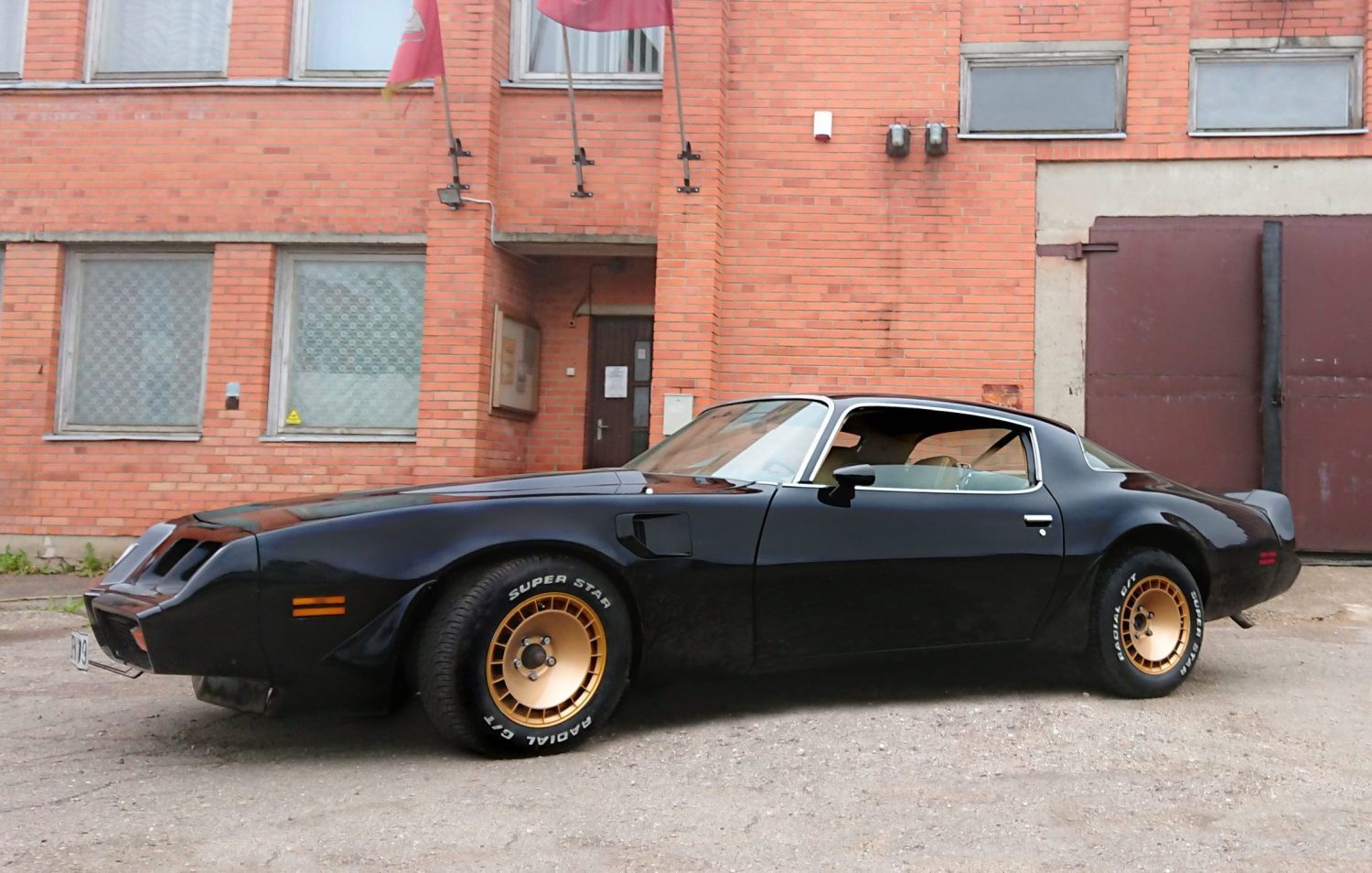 1981 Pontiac Firebird Trans Am
